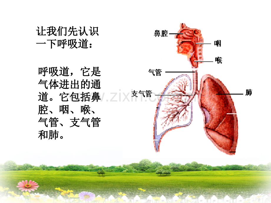 呼吸道传染病预防知识PPT课件.ppt_第3页