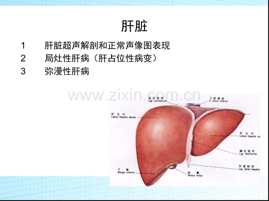 超声诊断学——肝胆胰脾.ppt_第2页