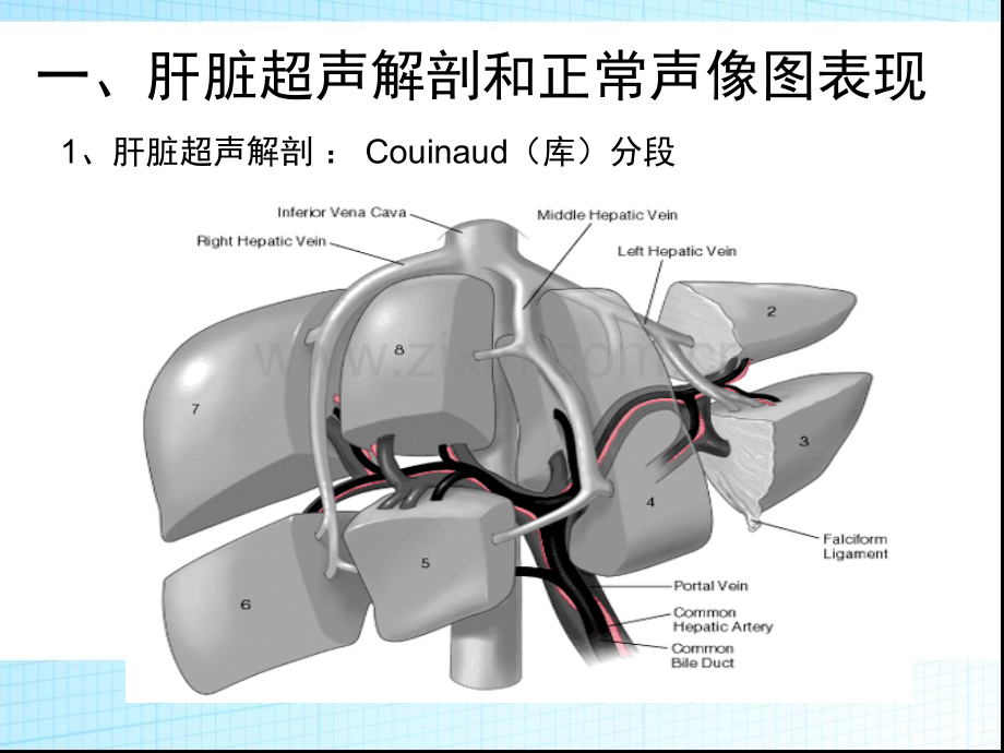 超声诊断学——肝胆胰脾.ppt_第3页