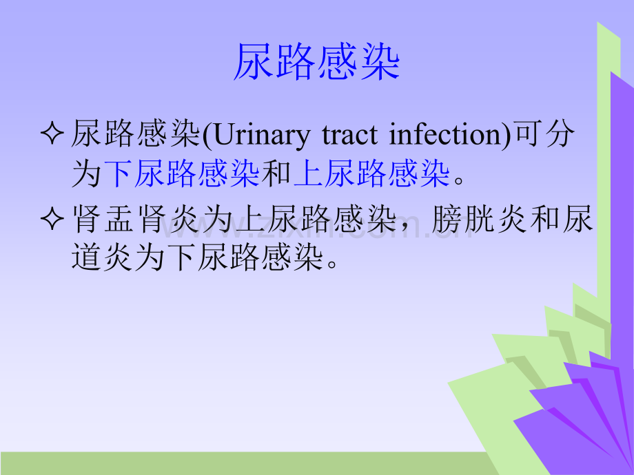 尿路感染12220PPT课件.ppt_第2页