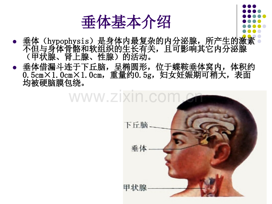 垂体病变mri诊断思路1.ppt_第2页