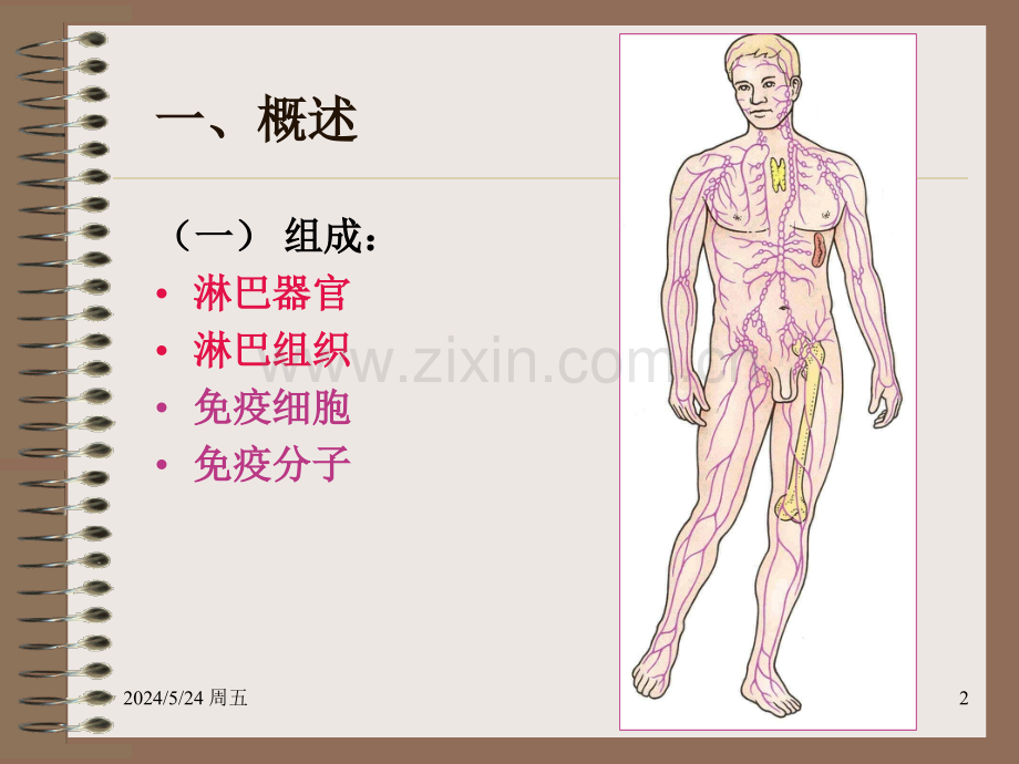 免疫系统2011.ppt_第2页