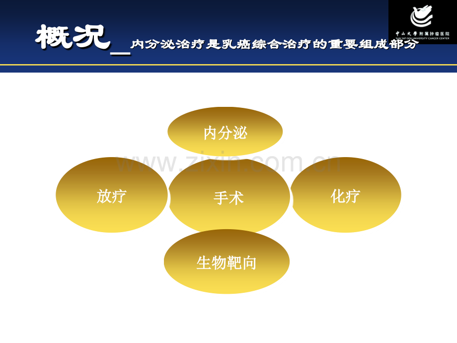 王树森乳腺癌内分泌治疗.ppt_第3页