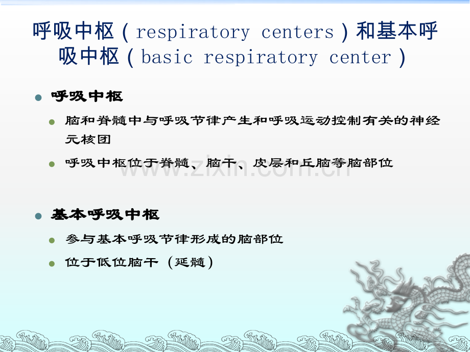 呼吸科呼吸系统8.ppt_第3页