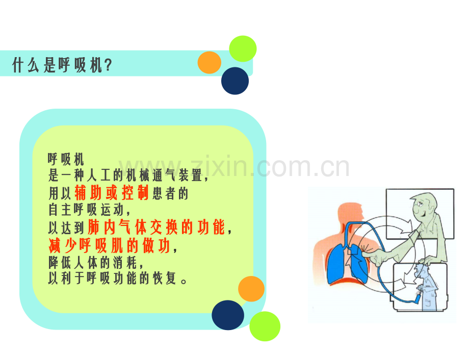 呼吸机的使用及护理.ppt_第2页