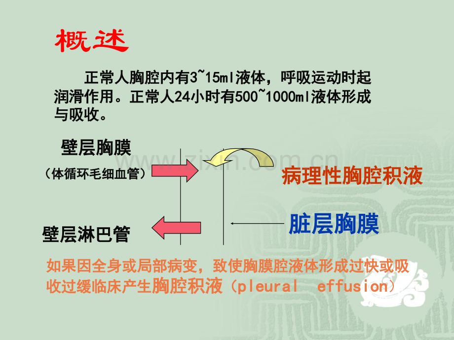 胸腔积液幻灯.ppt_第3页