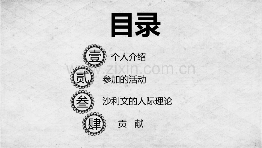 心理学—沙利文.pptx_第2页