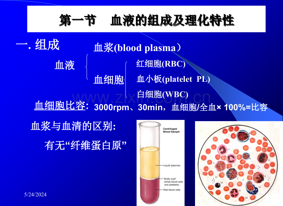 第二章--血液PPT课件.ppt_第2页