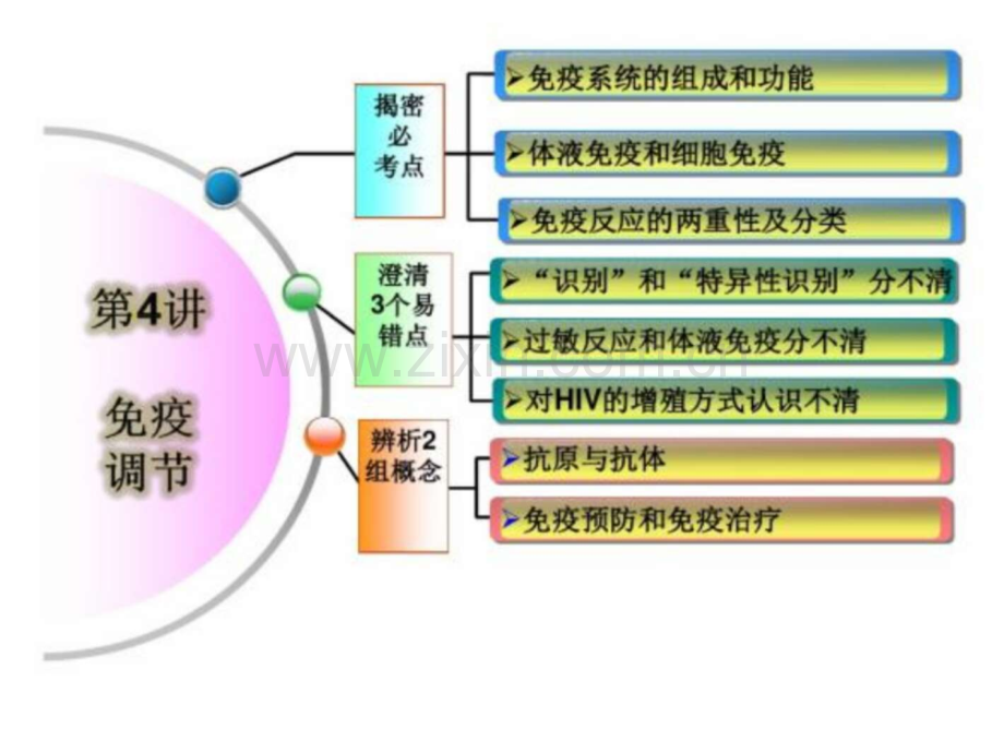 免疫调节复习课.ppt_第3页