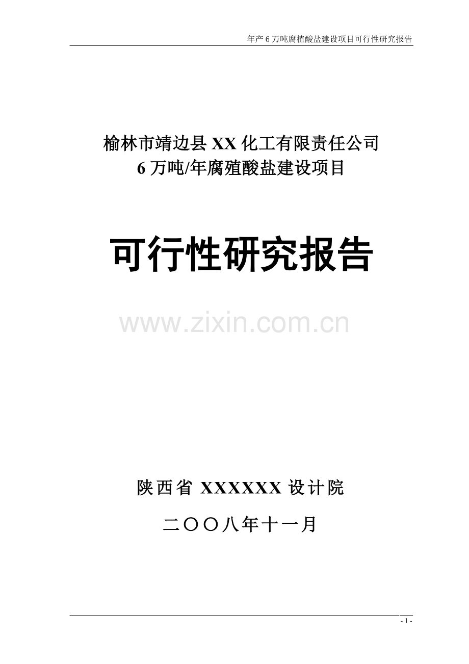 年产6万吨腐植酸盐项目建设投资可行性研究报告(-p94).doc_第1页