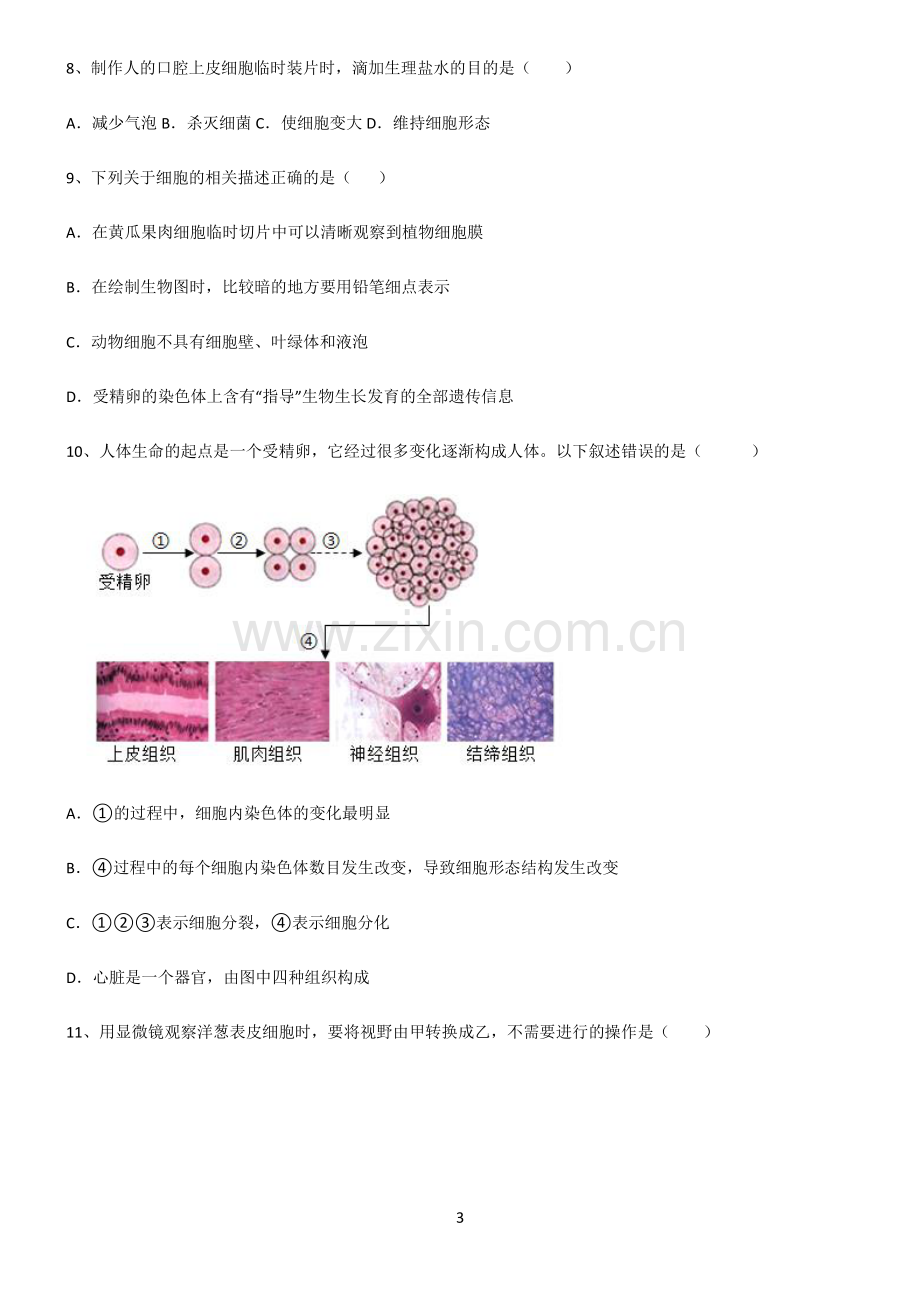 (文末附答案)2022届初中生物生物体的结构层次题型总结及解题方法.pdf_第3页