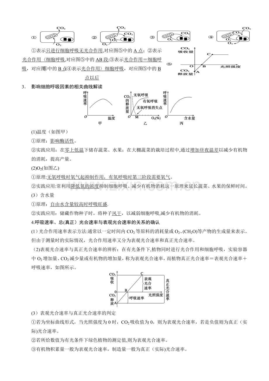 细胞代谢——光合作用和呼吸作用2014.4.doc_第2页