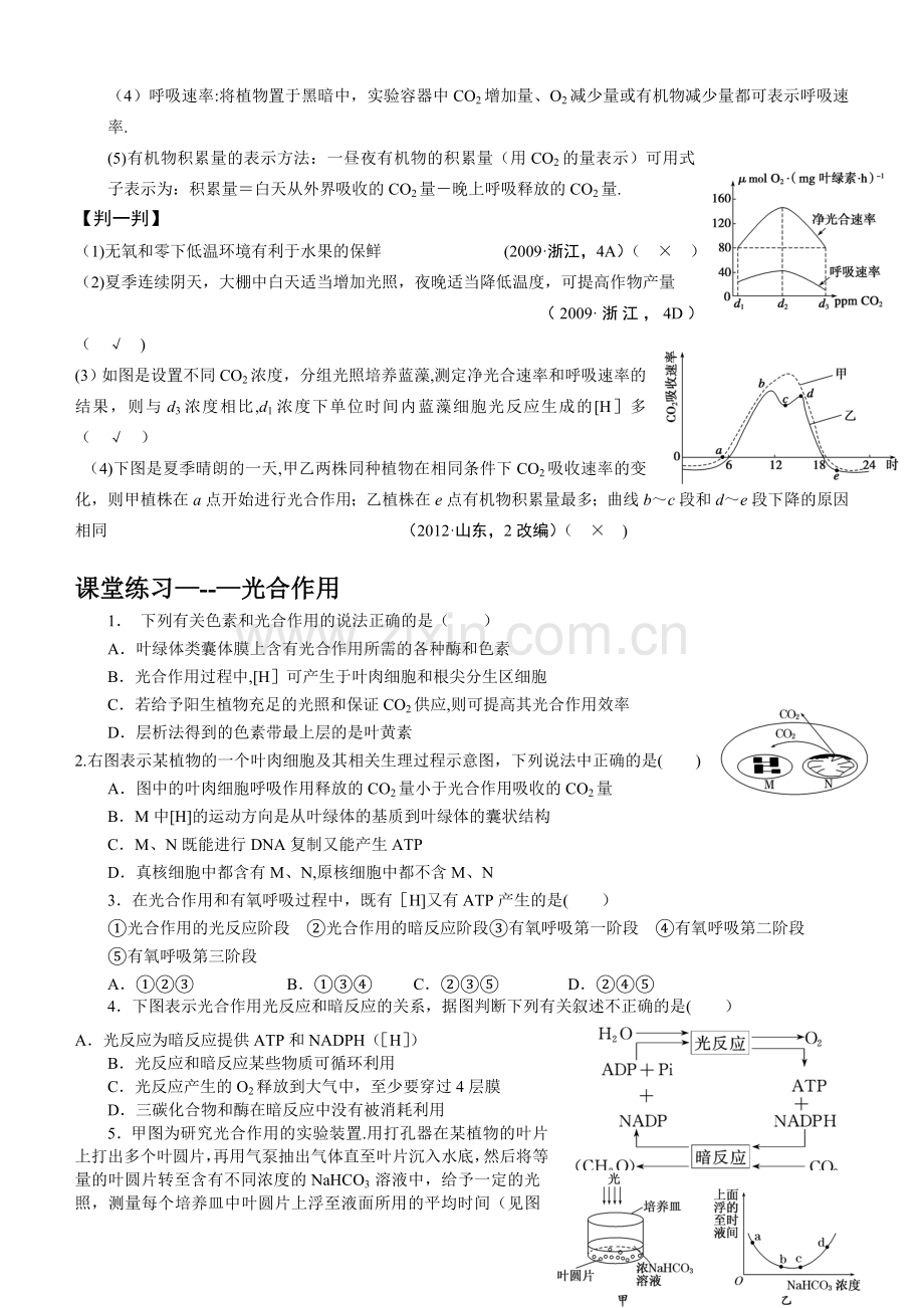 细胞代谢——光合作用和呼吸作用2014.4.doc_第3页