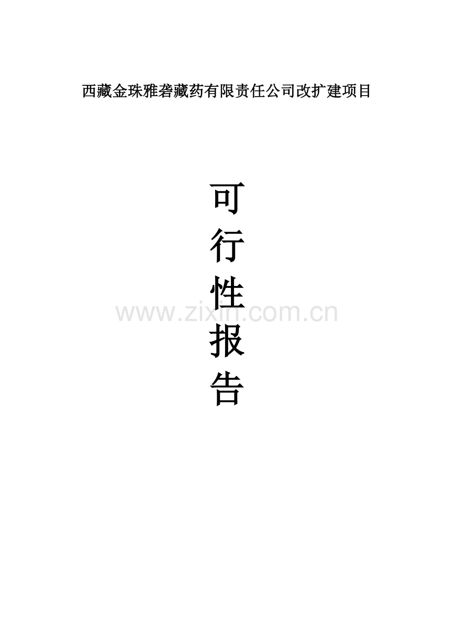 金珠雅砻藏药公司改扩建项目建设投资可行性研究报告.doc_第1页