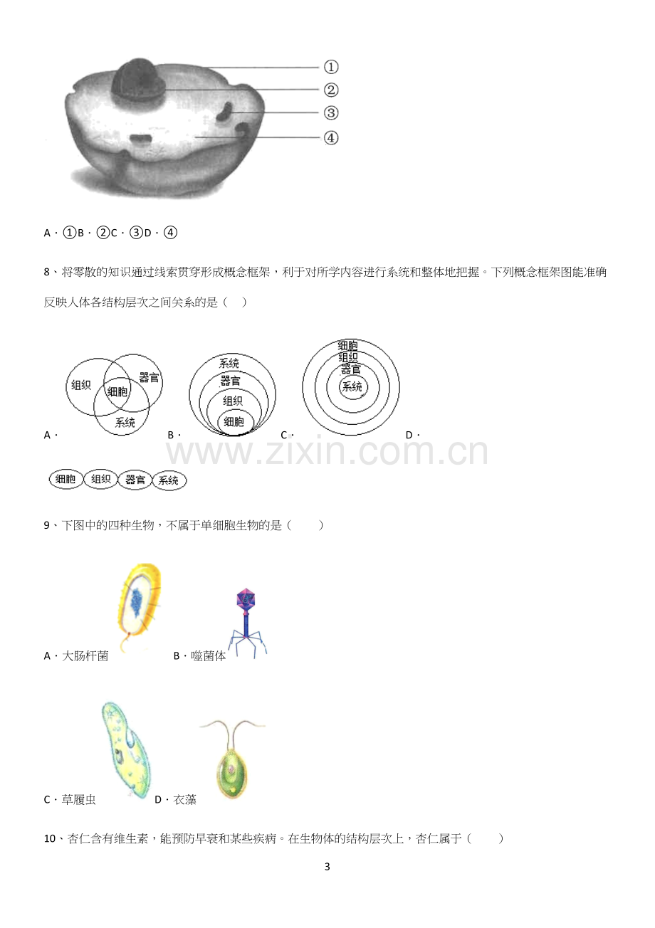 通用版初中生物七年级上册第二单元生物体的结构层次知识集锦.docx_第3页