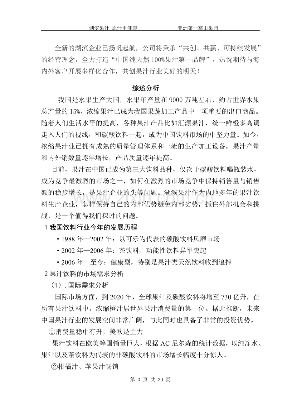 本科毕业论文---湖滨果汁品牌营销策划书.doc_第3页