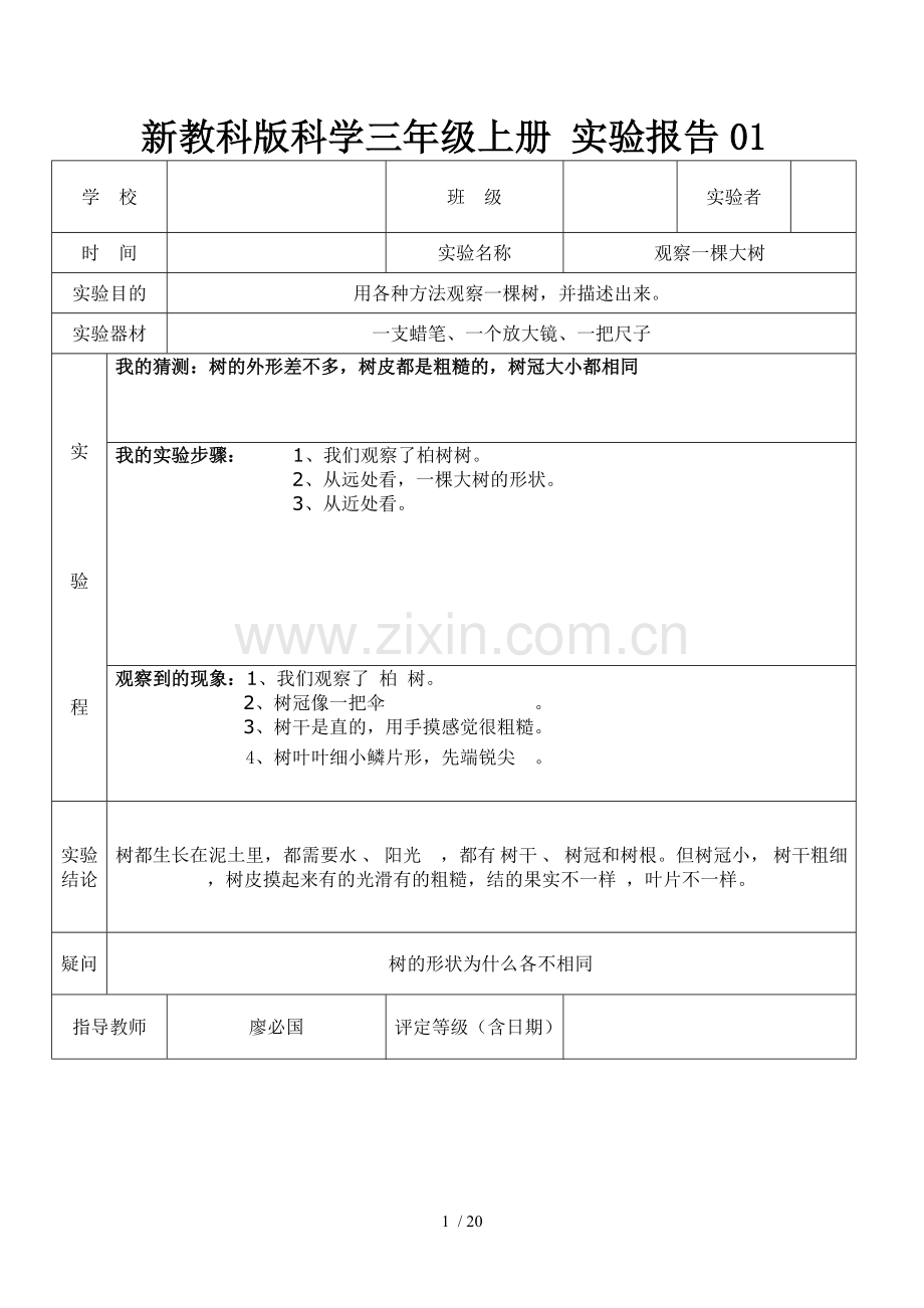 教科新版三年级上册科学实验报告单.doc_第1页