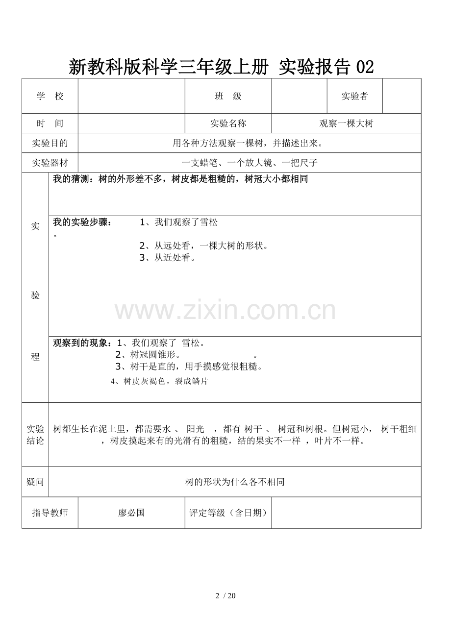 教科新版三年级上册科学实验报告单.doc_第2页