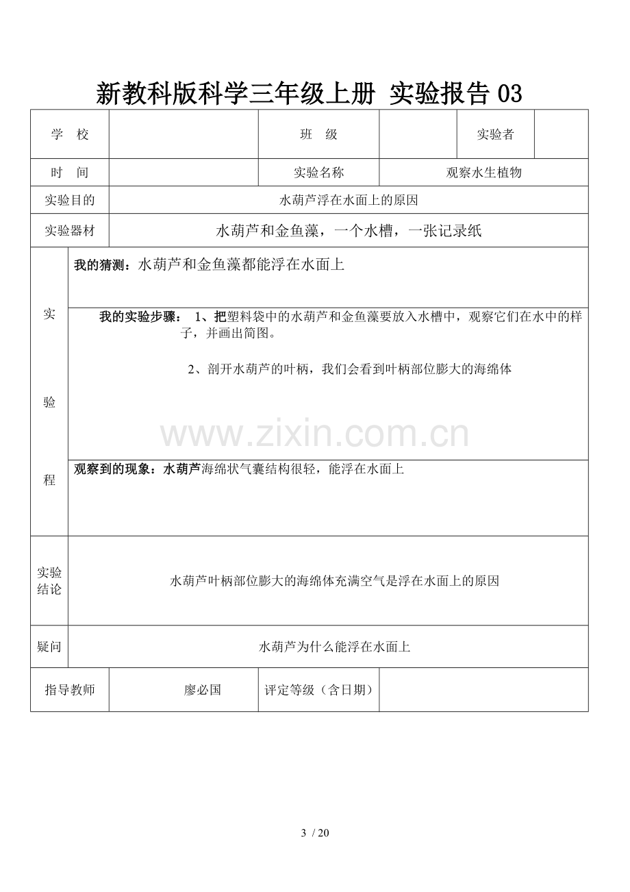 教科新版三年级上册科学实验报告单.doc_第3页