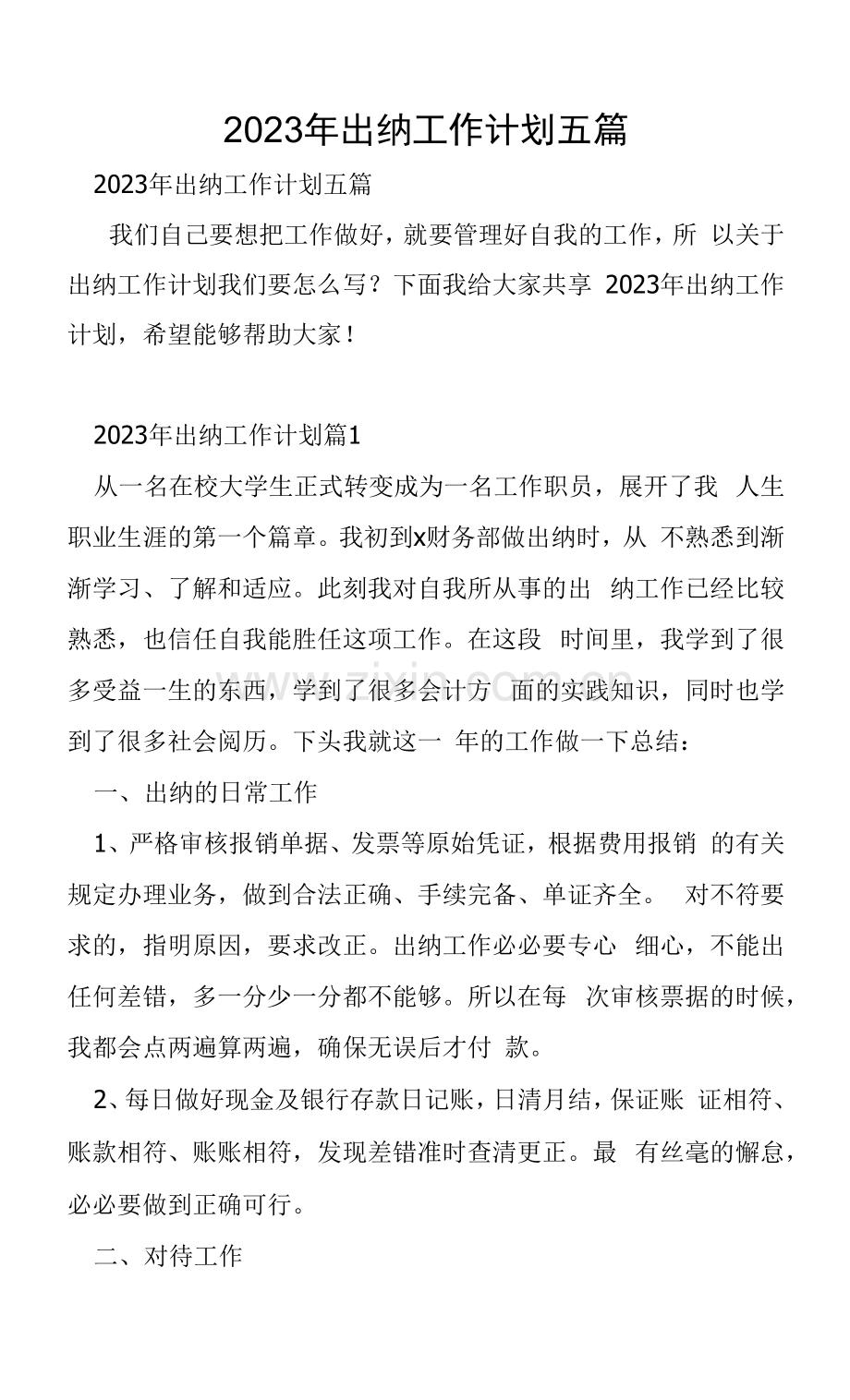 2023年出纳工作计划五篇.docx_第1页