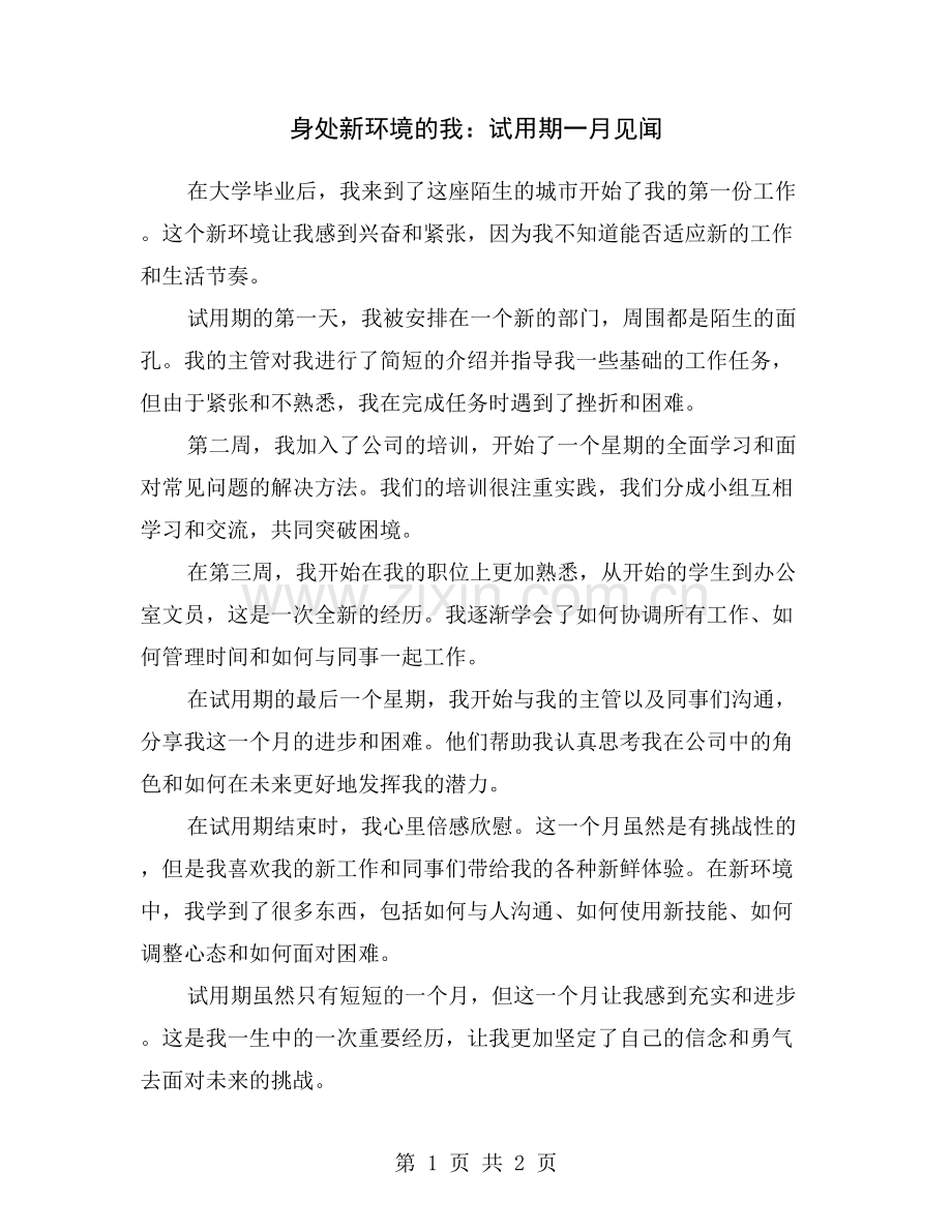 身处新环境的我：试用期一月见闻.doc_第1页