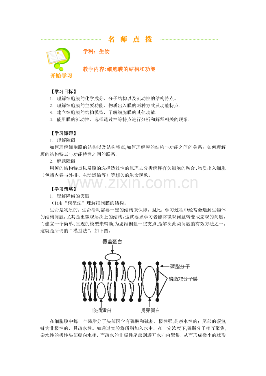 细胞膜的结构和功能.doc_第1页