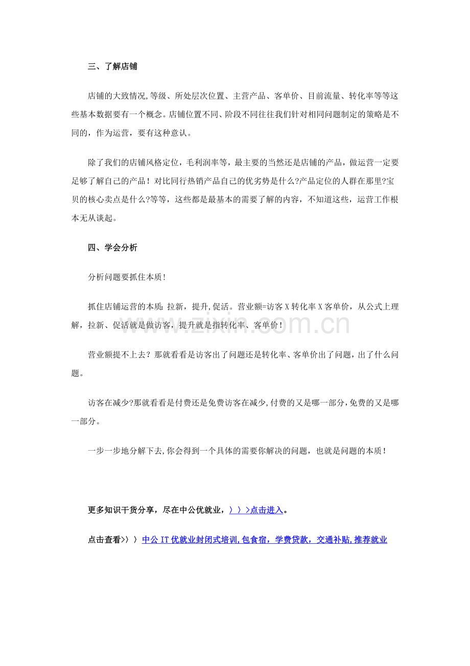 新手如何运营电商店铺.doc_第2页