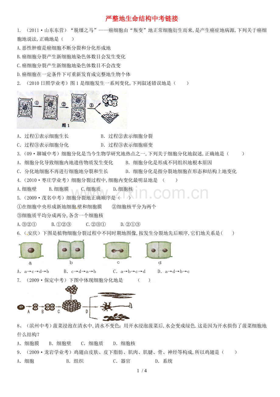 山东省滕州市滕西中学七生物下册严整的生命结构中考链接.doc_第1页