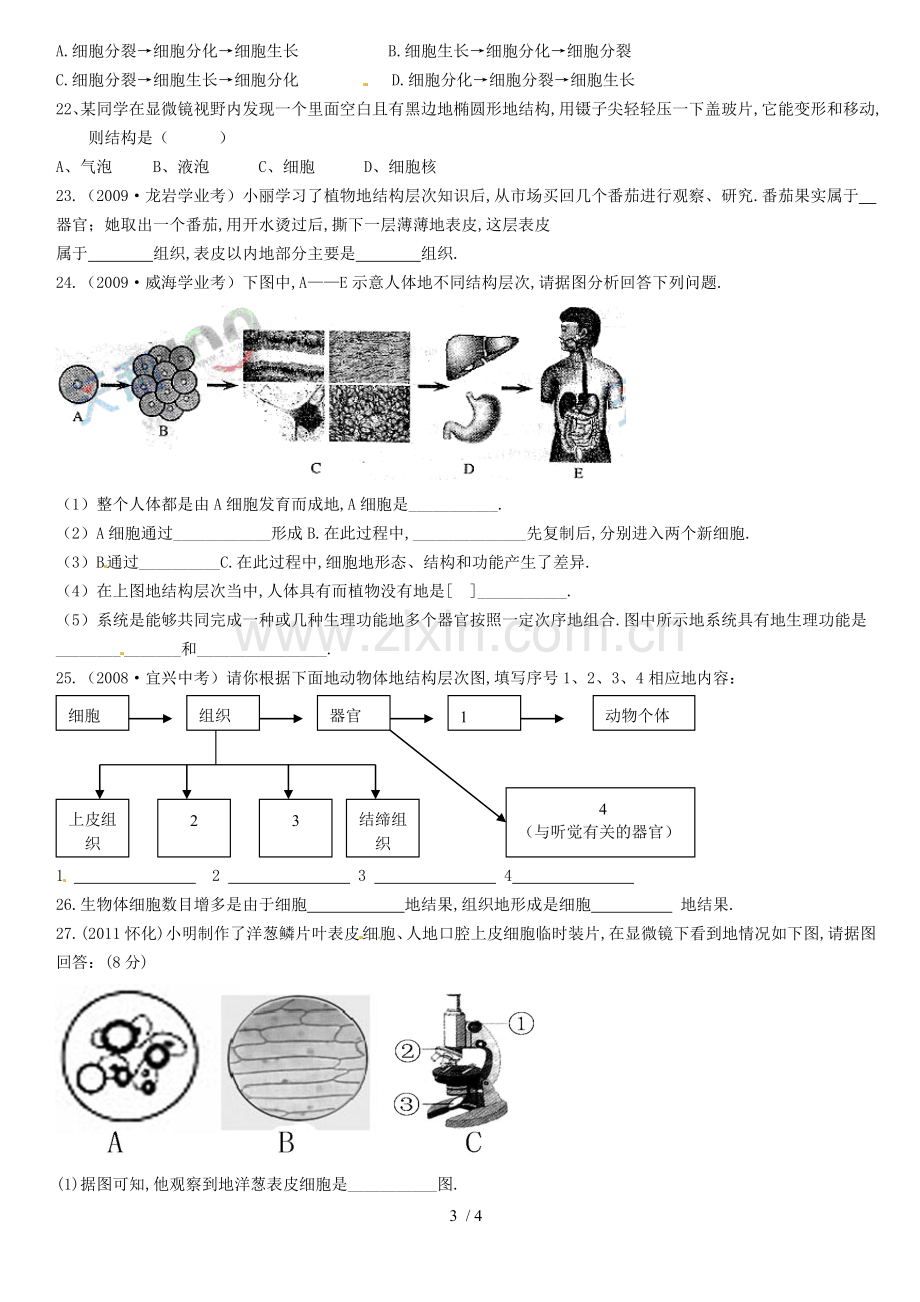 山东省滕州市滕西中学七生物下册严整的生命结构中考链接.doc_第3页