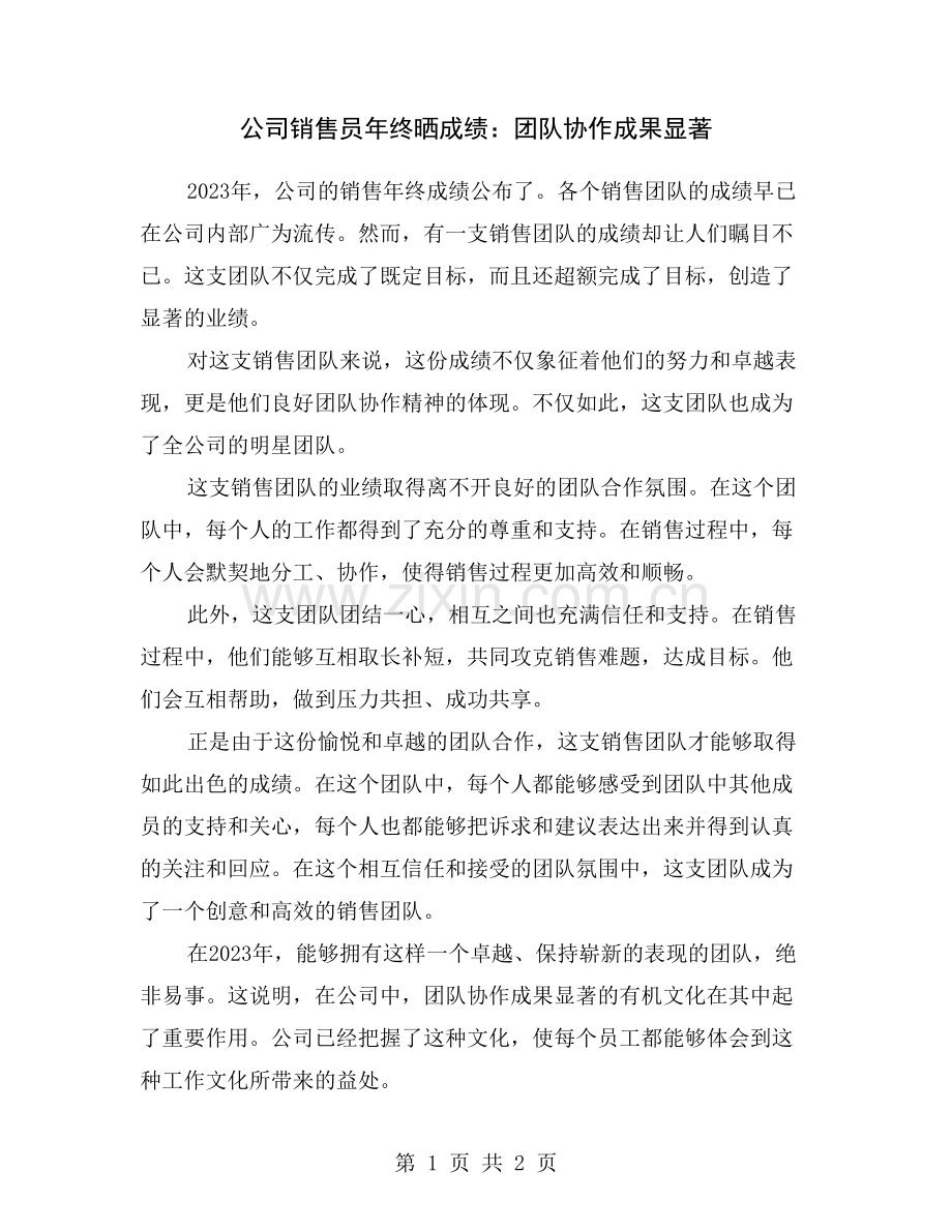 公司销售员年终晒成绩：团队协作成果显著.doc_第1页