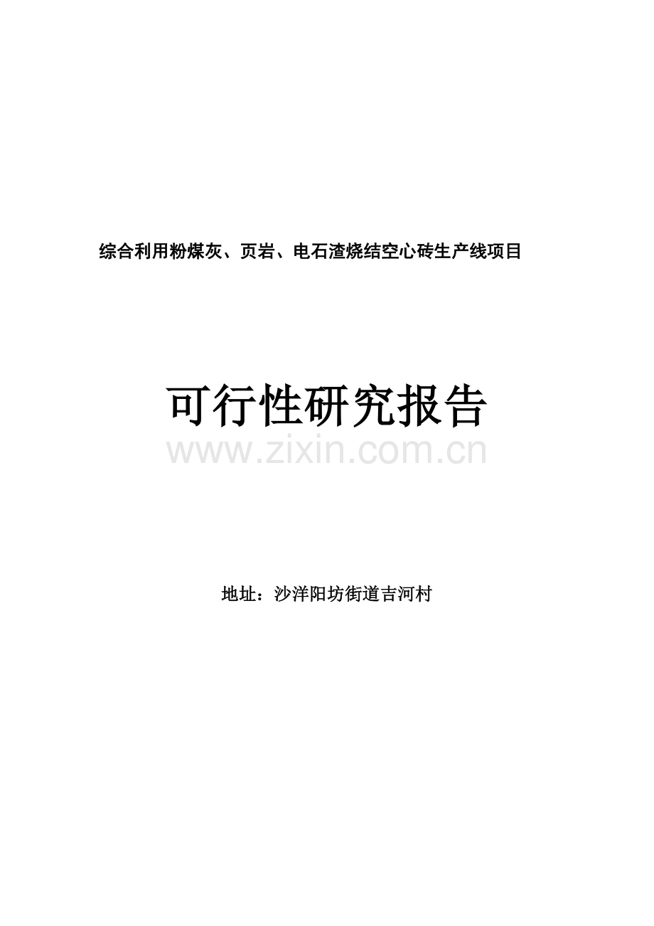 综合利用粉煤灰、页岩、电石渣烧结空心砖生产线项目可行性研究报告.doc_第2页