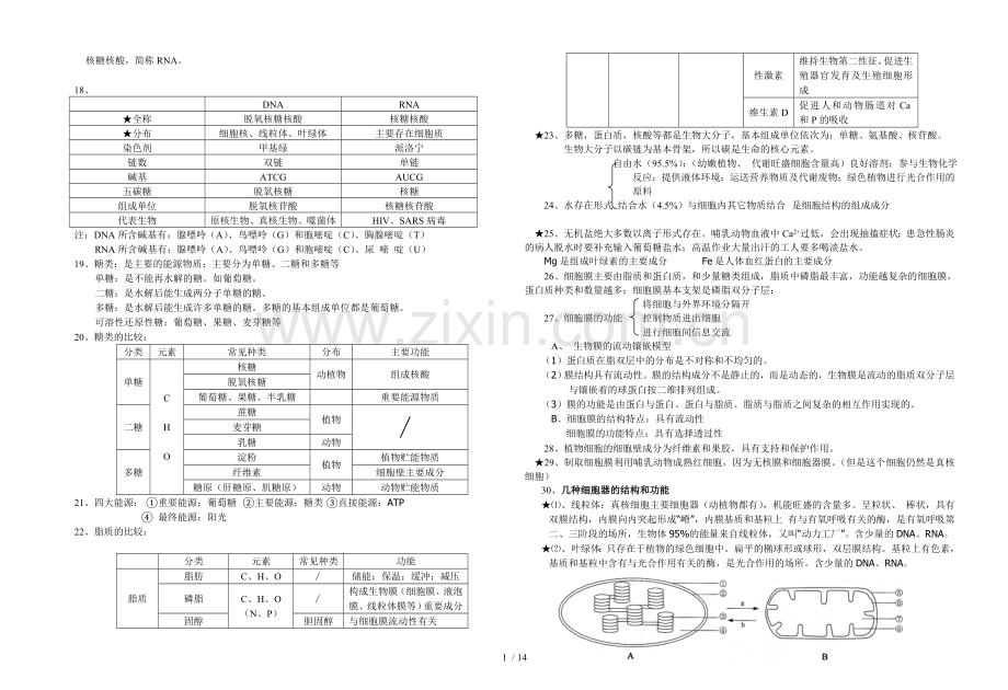 高中生物基础知识点总结.doc_第2页