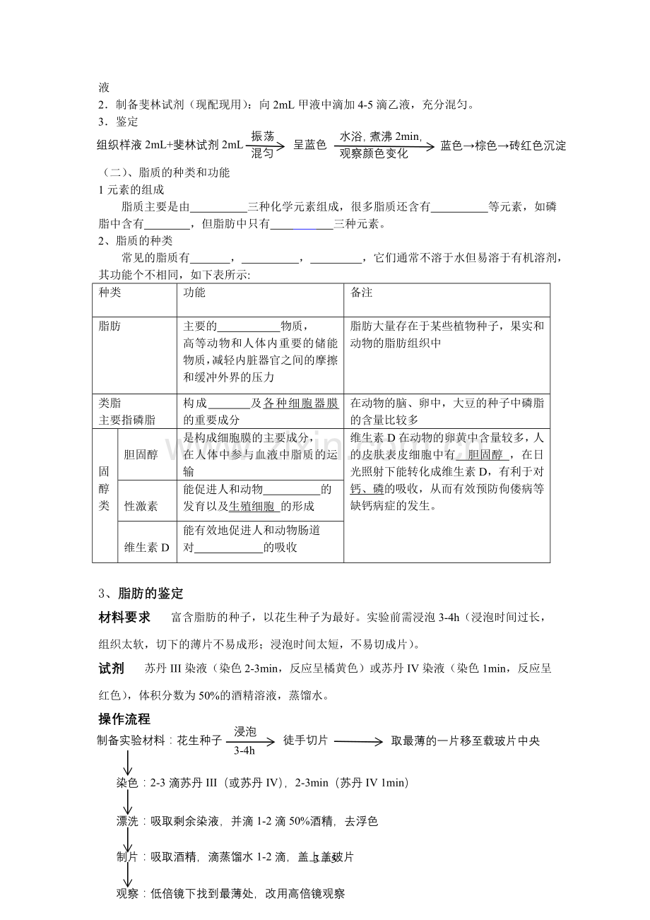 第二节-细胞中生物大分子-糖类脂质学案.doc_第3页