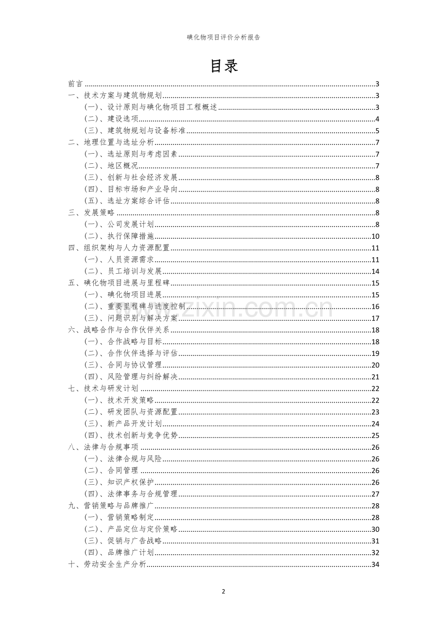 碘化物项目评价分析报告.docx_第2页