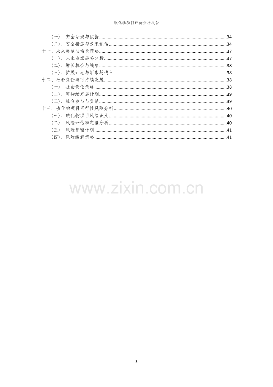 碘化物项目评价分析报告.docx_第3页