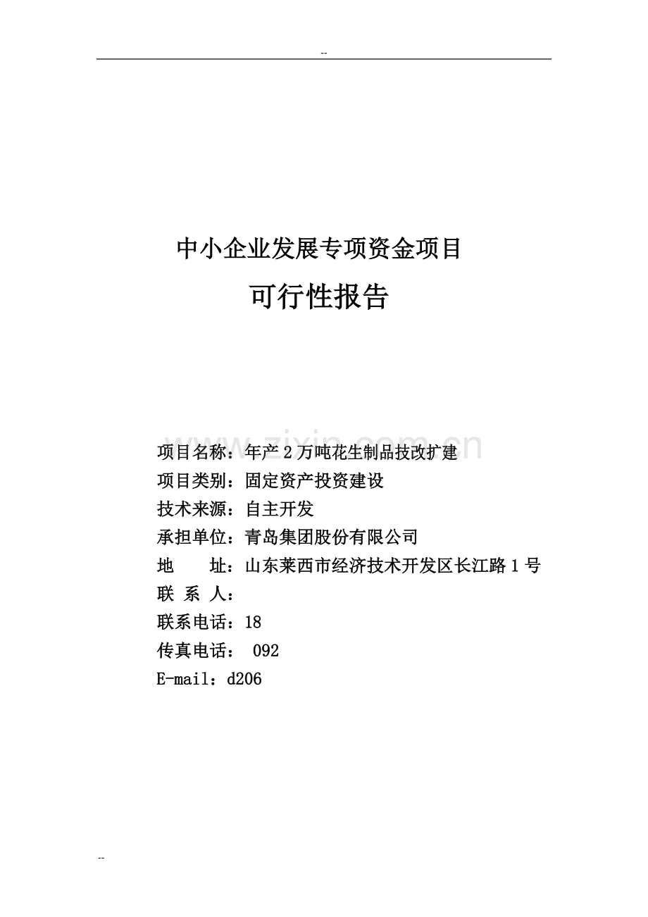 年产2万吨花生制品技改扩建可行性研究报告-中小企业发展专项资金申请报告.doc_第2页