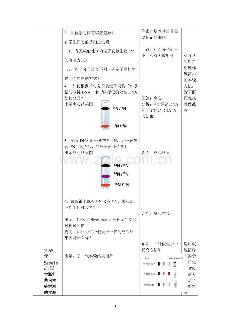 DNA的复制教案汇总.pdf_第3页