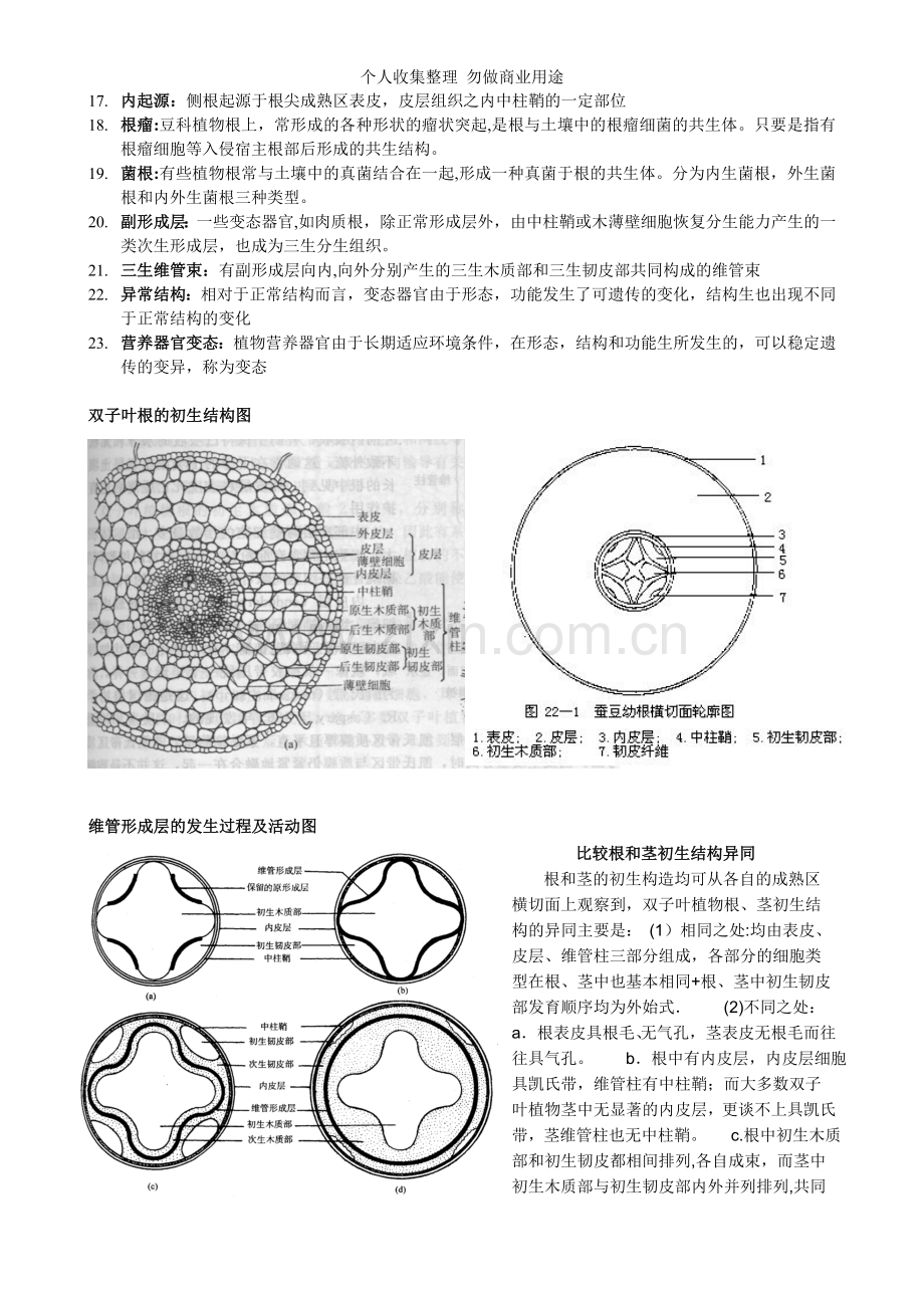 第四章根的形态与结构.doc_第3页