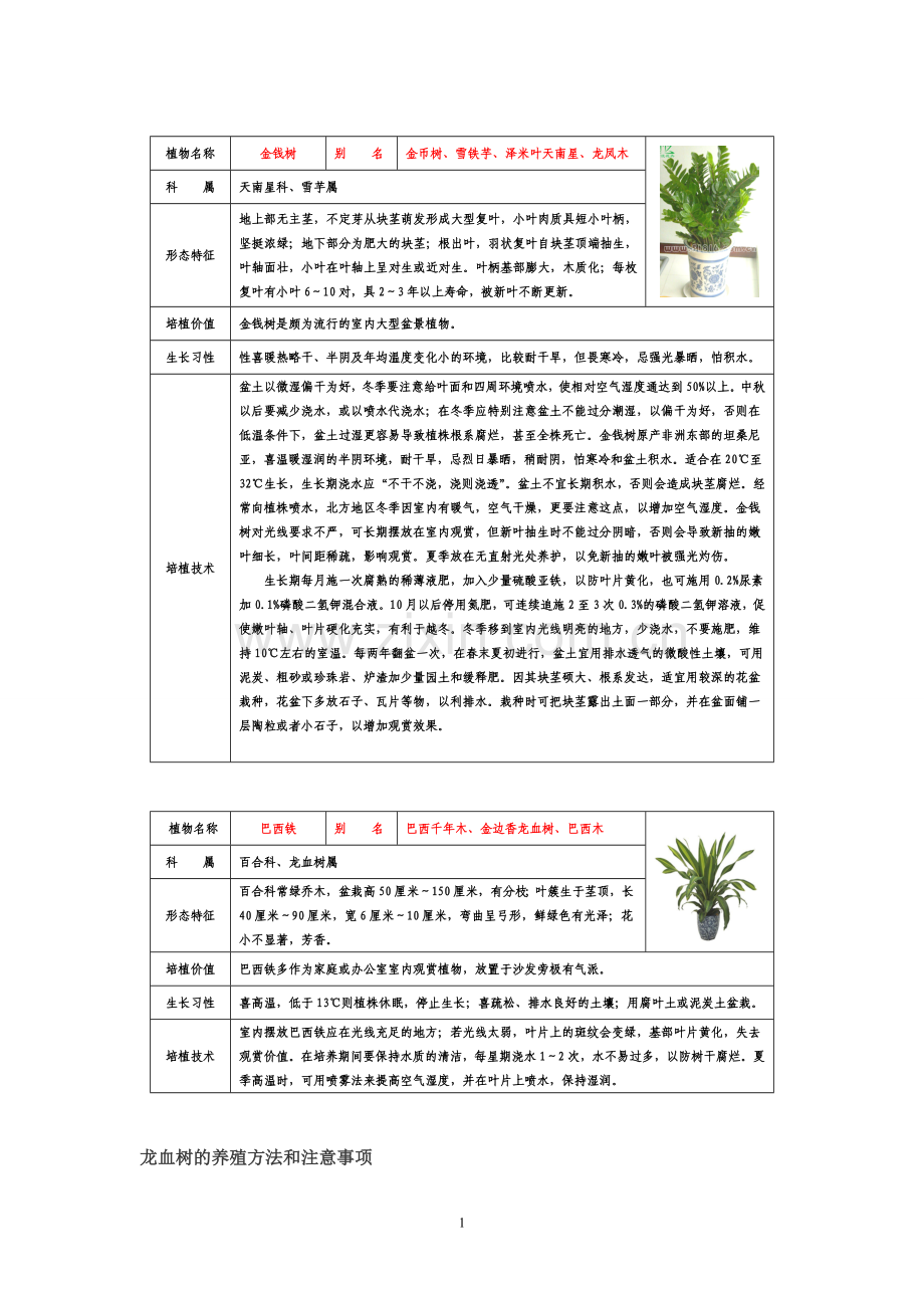 常见室内盆栽绿化植物介绍(带图片)-.doc_第1页