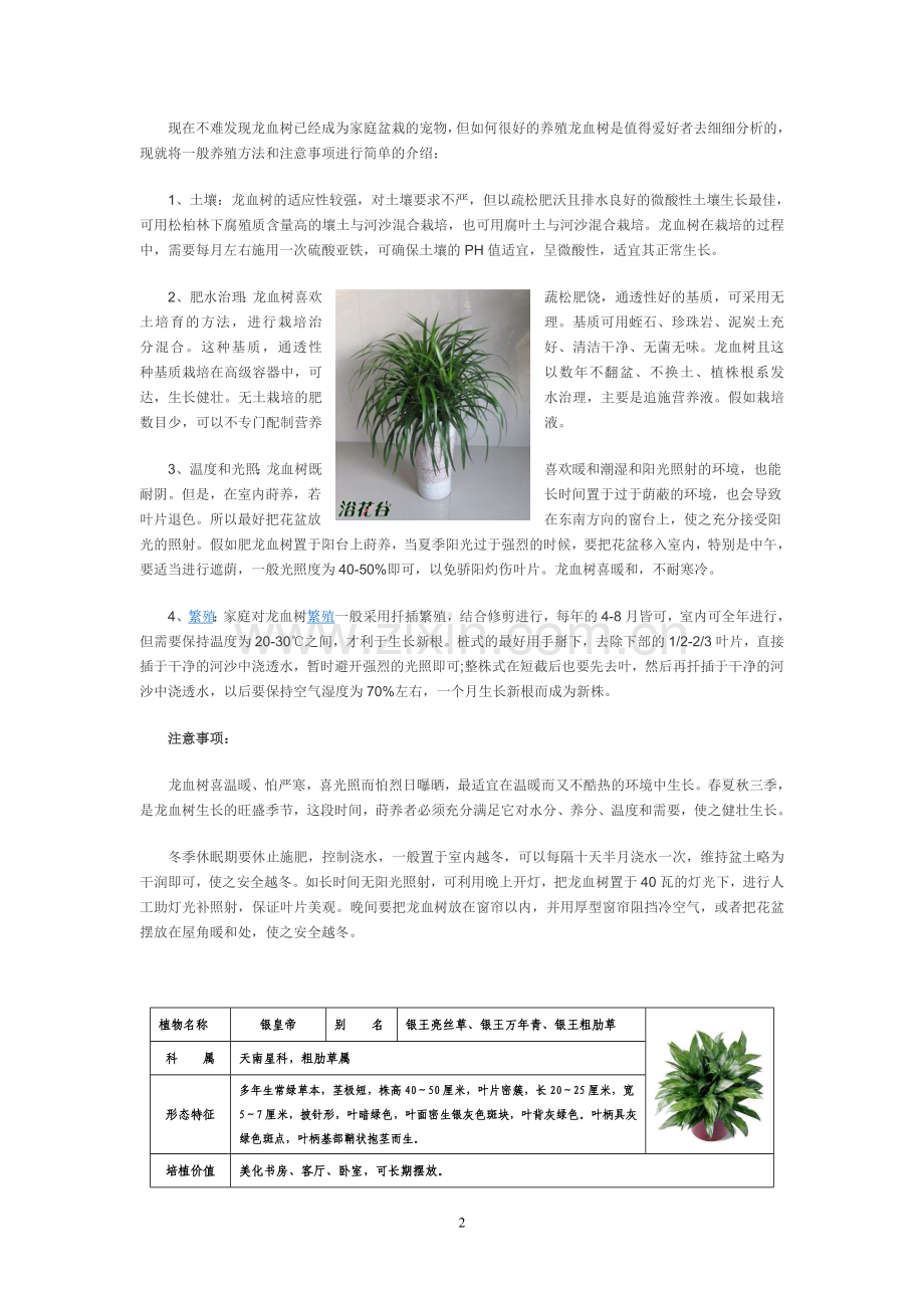 常见室内盆栽绿化植物介绍(带图片)-.doc_第2页