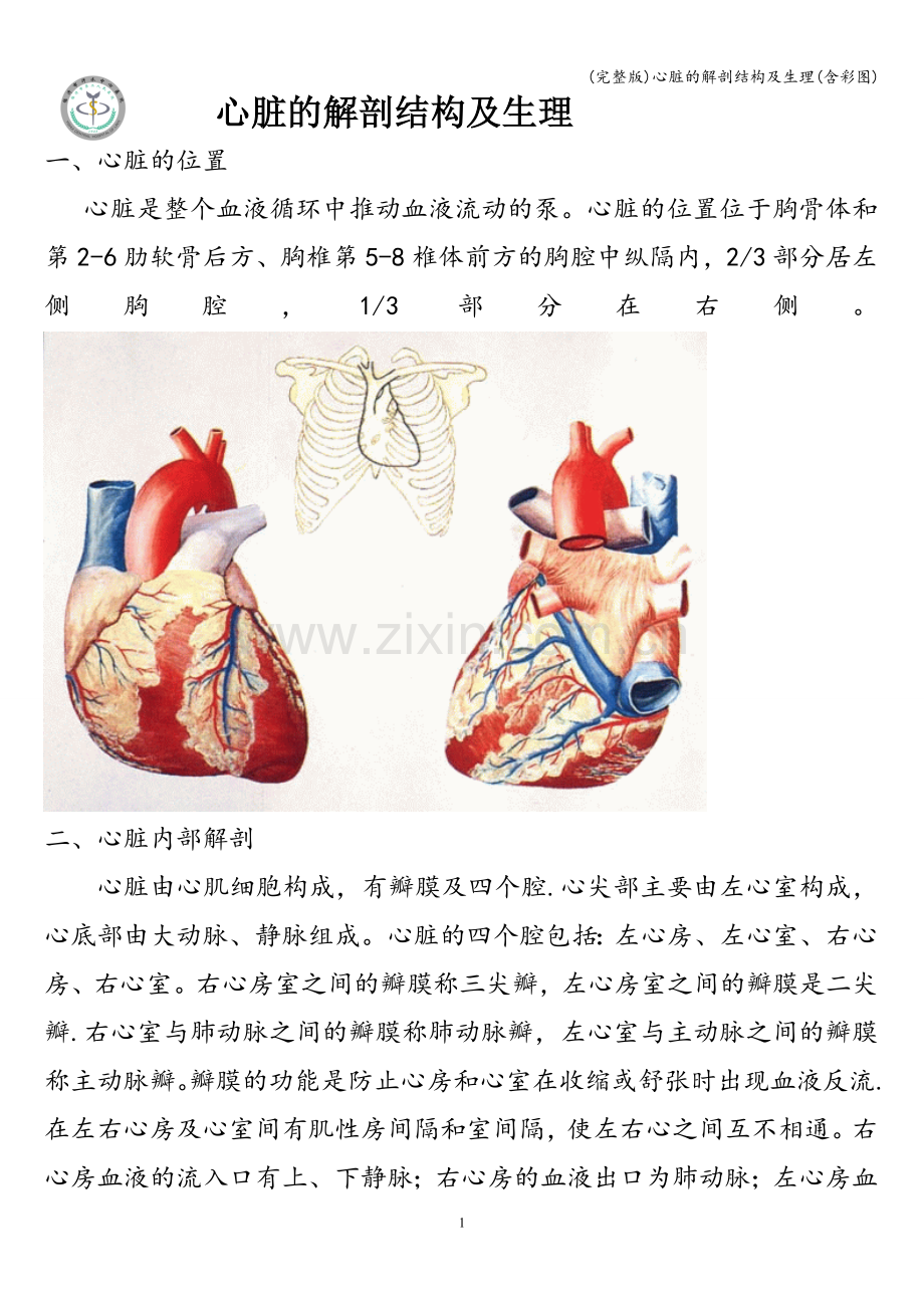 心脏的解剖结构及生理(含彩图).doc_第1页