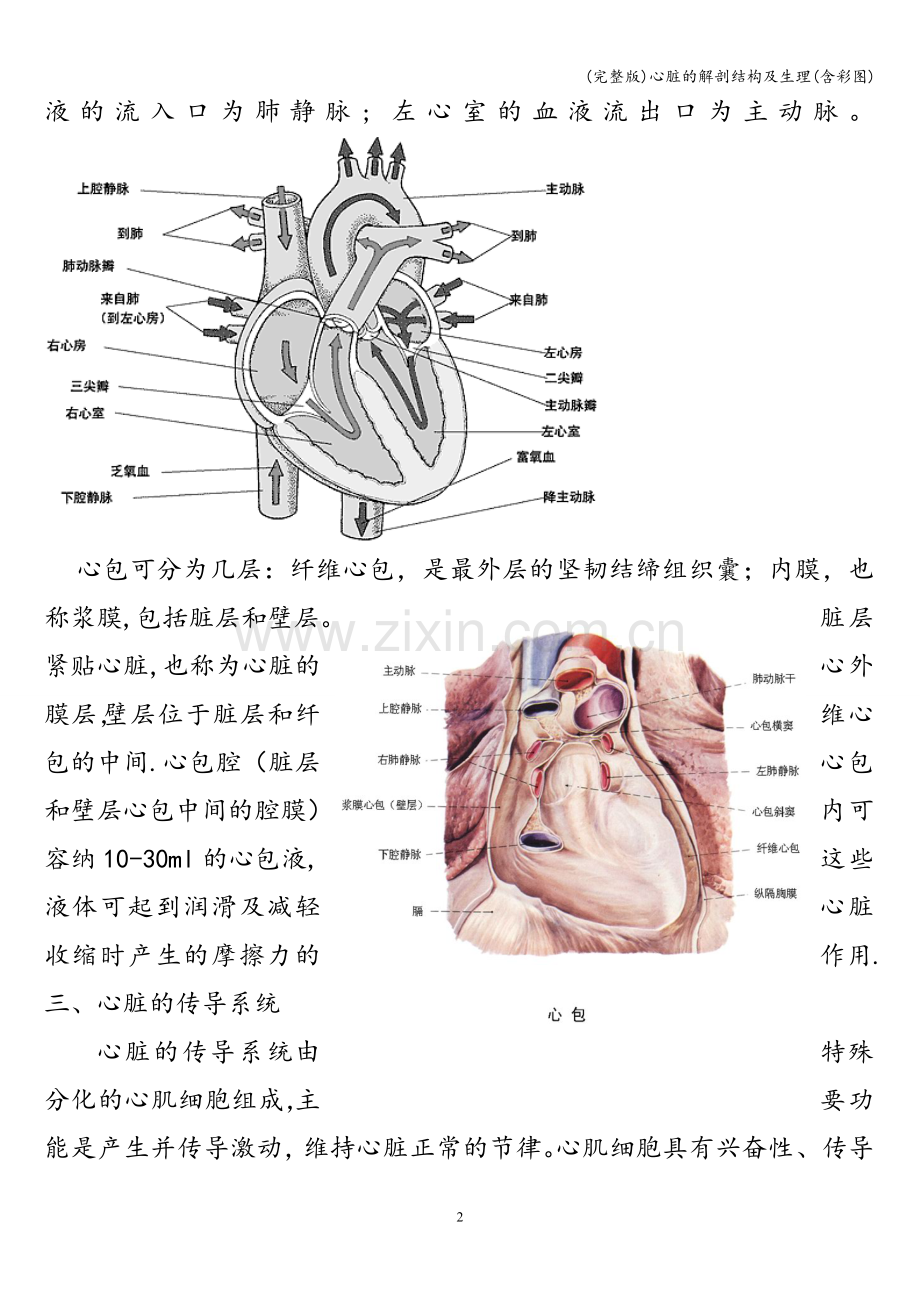 心脏的解剖结构及生理(含彩图).doc_第2页