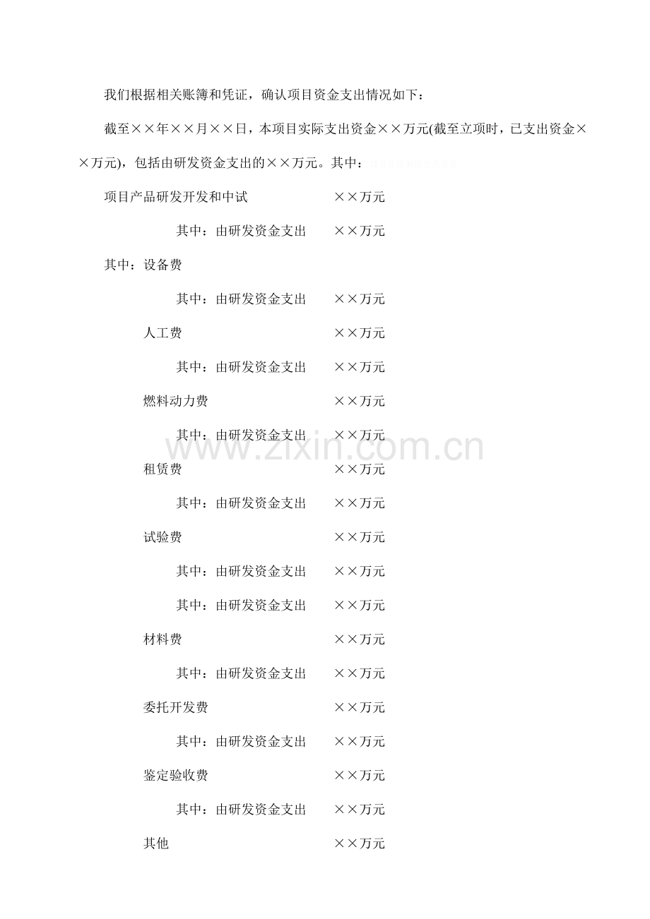 项目审计研究报告.doc_第3页