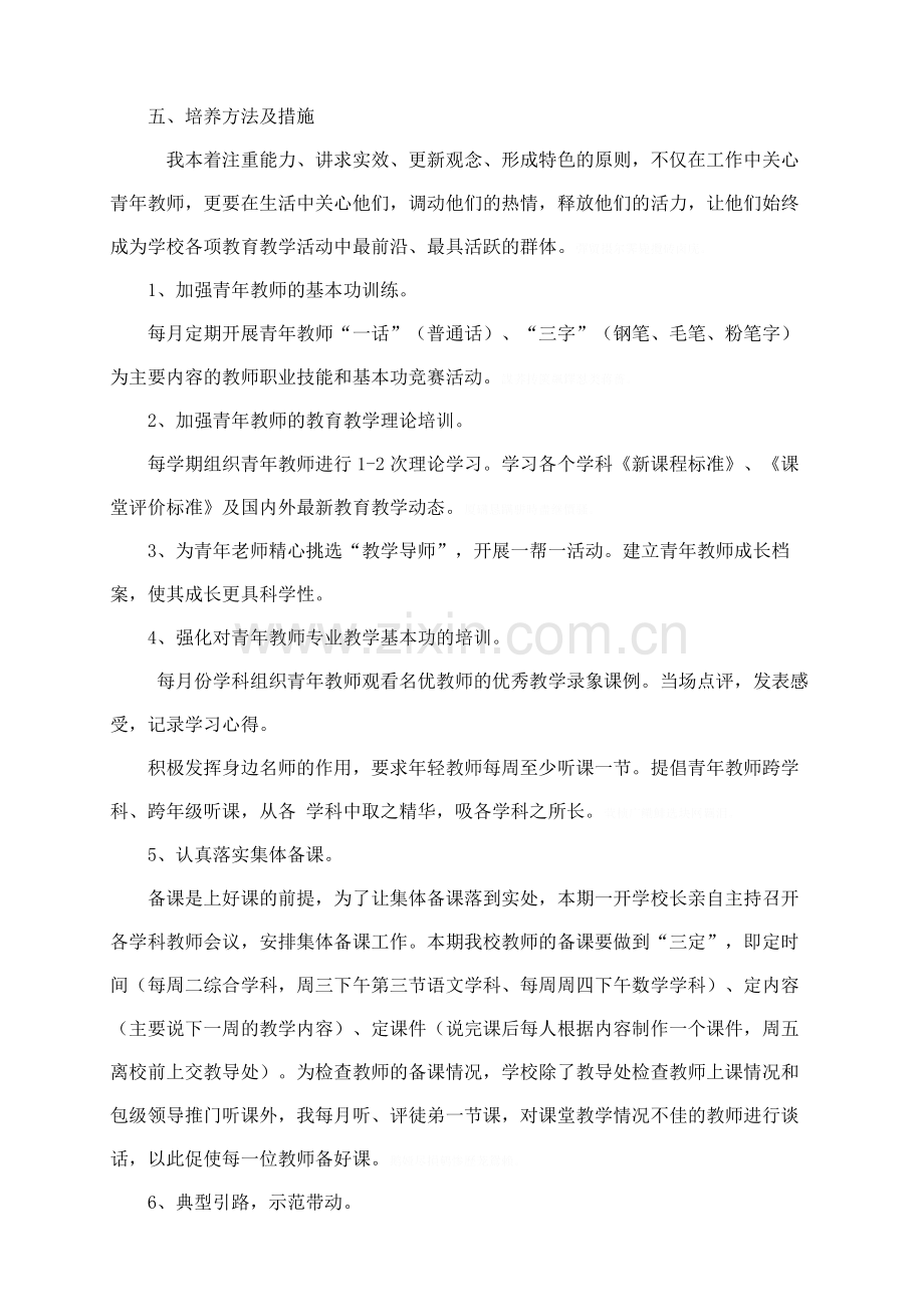 骨干教师-----培养青年教师培养方法和措施.doc_第2页