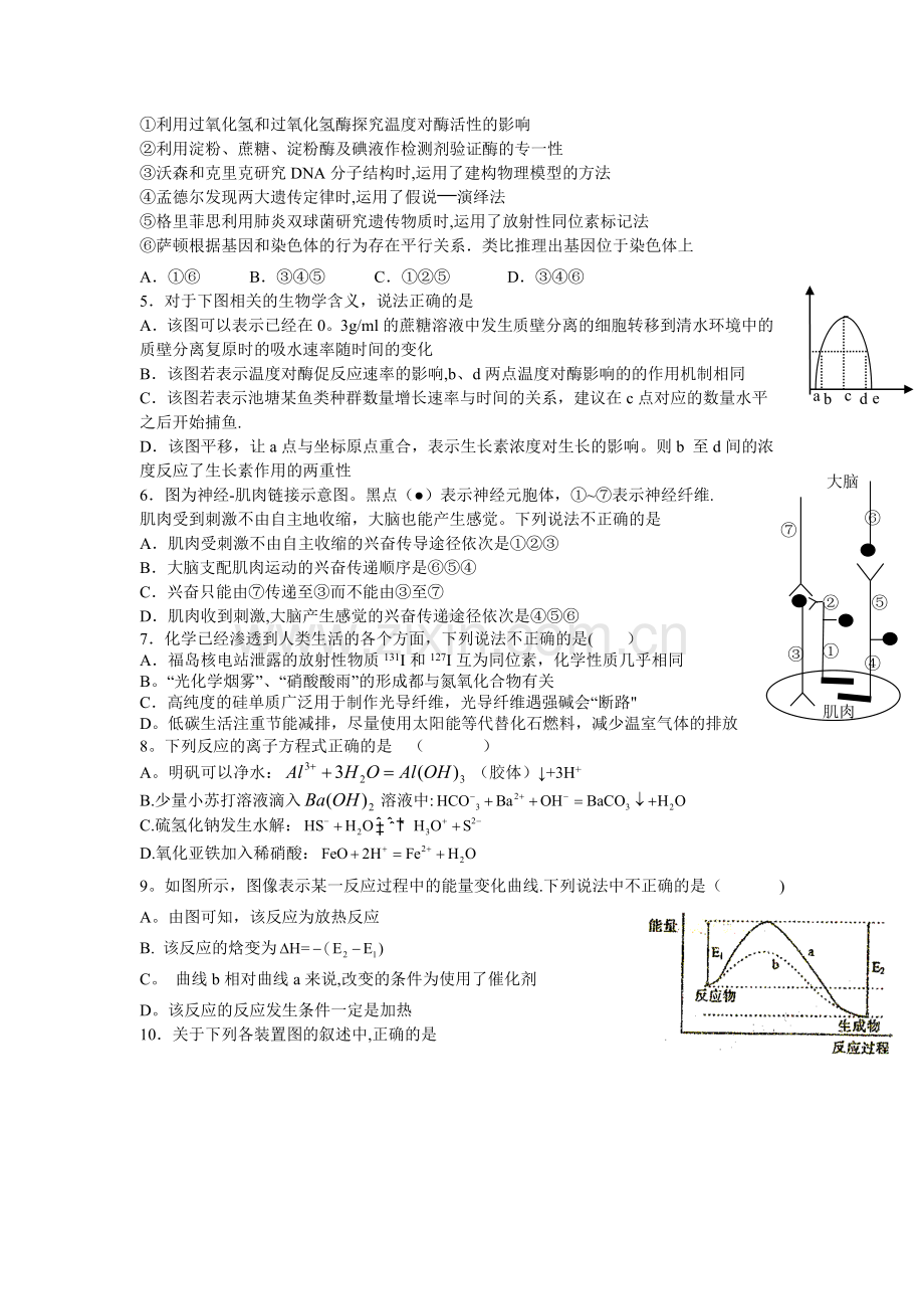 湖北省重点中学2013年高三上学期期末联考理综试题.doc_第2页