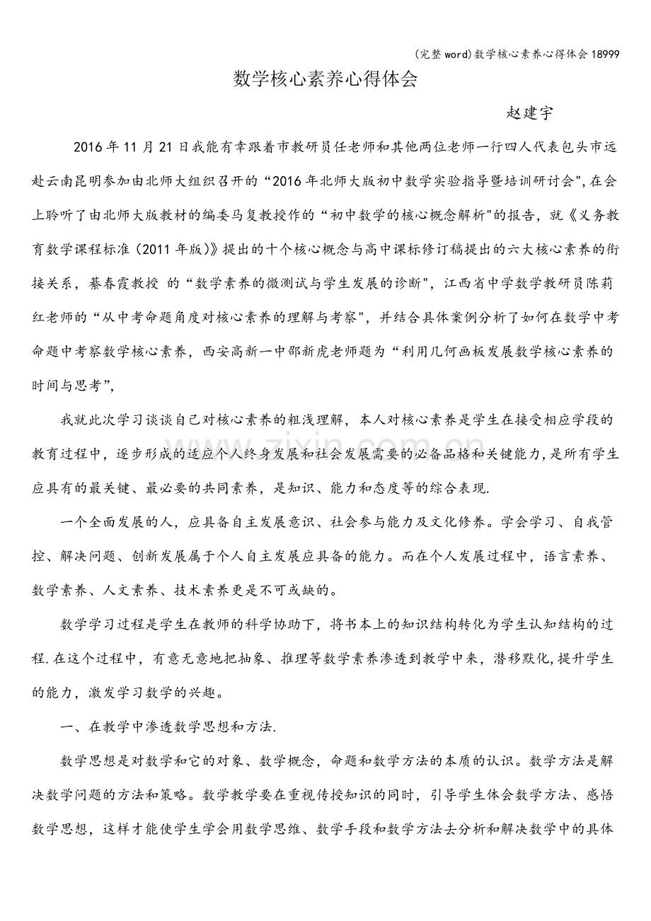 数学核心素养心得体会18999.doc_第1页