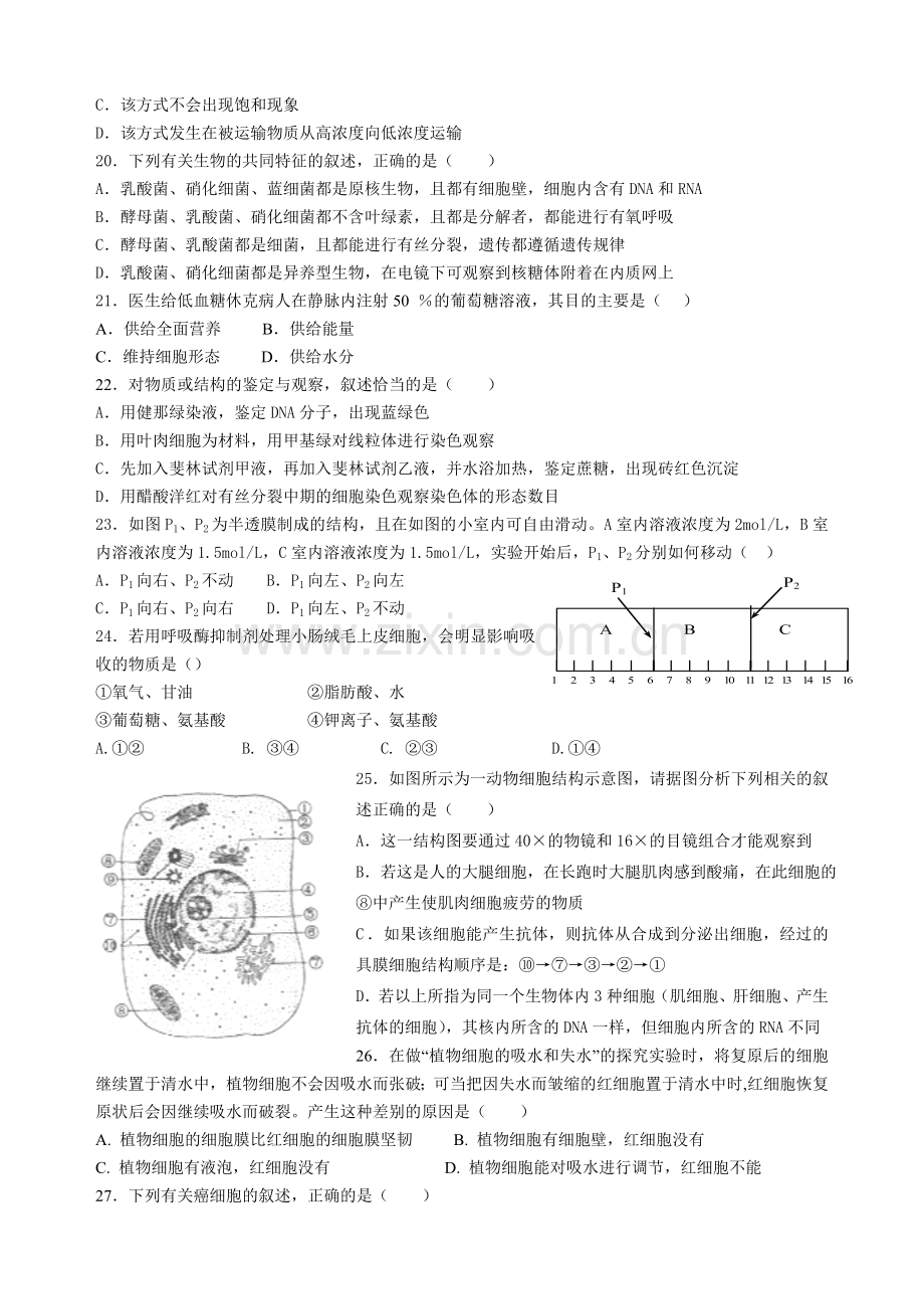 高一生物五一假期试卷(打印).doc_第3页