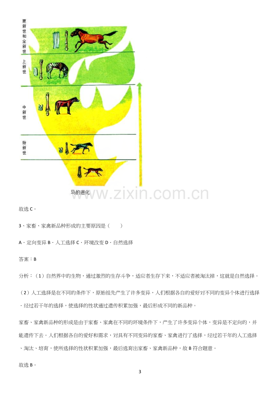 人教版初中生八年级下册第七单元生物圈中生命的延续和发展考点突破.docx_第3页