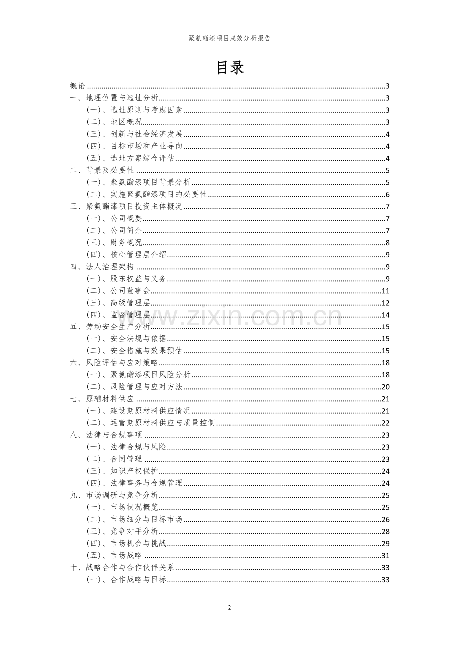 聚氨酯漆项目成效分析报告.docx_第2页