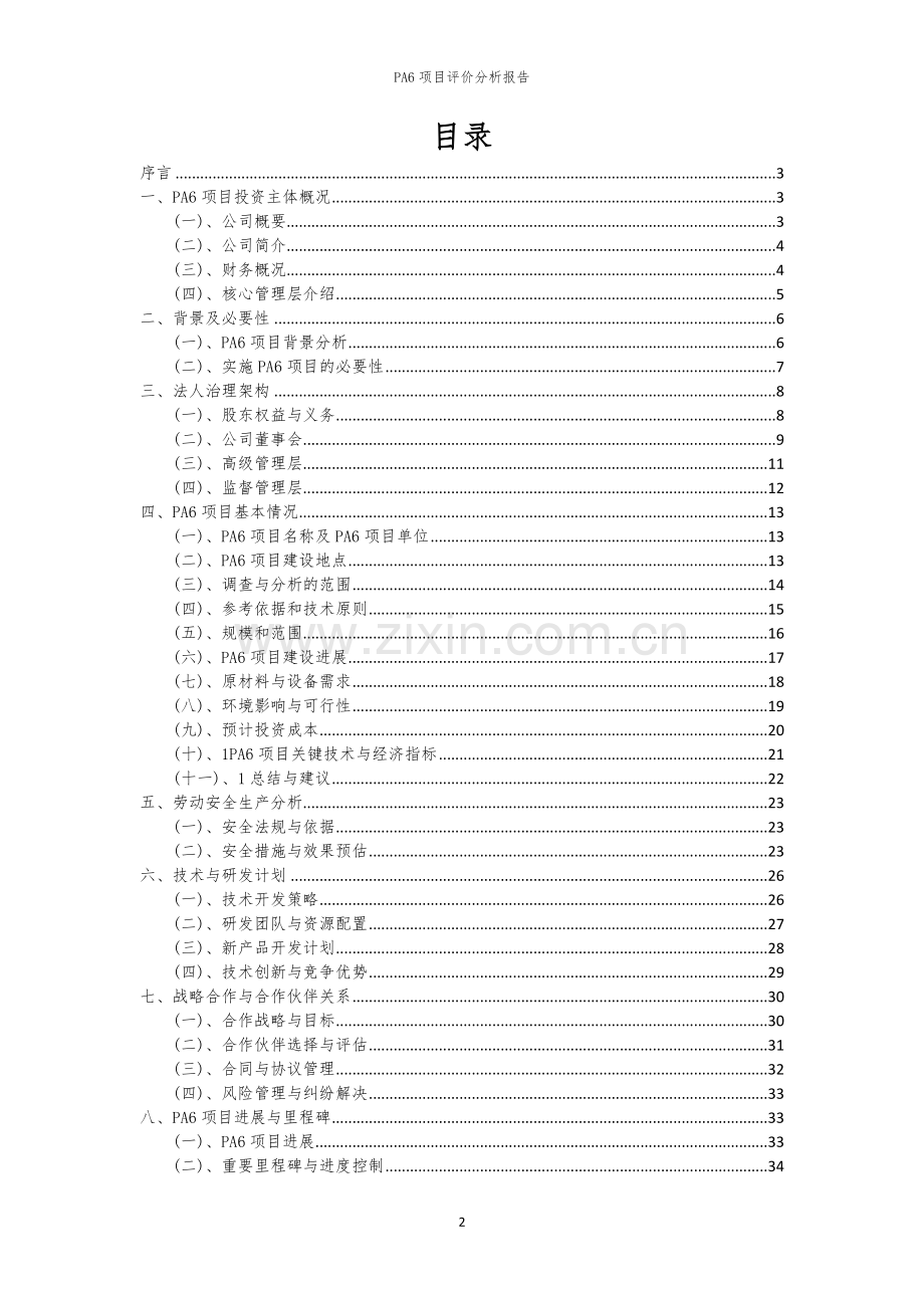 2023年PA6项目评价分析报告.docx_第2页